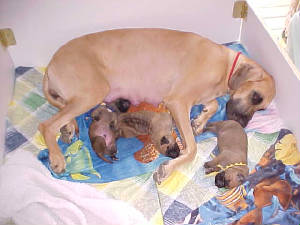 1-26-04.jpg