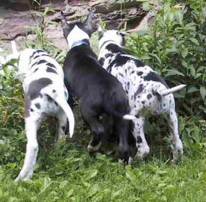 18envy8weeks6-07web.jpg