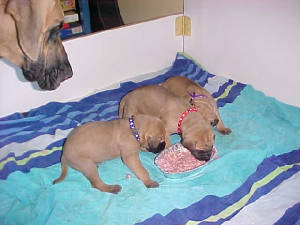1firstmeal2-7-04.jpg