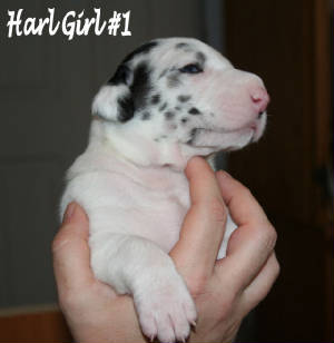 1freya2weeks.jpg