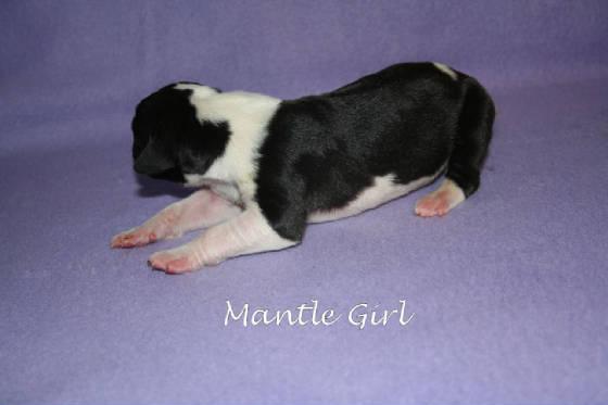 5mantlegirl11409.jpg