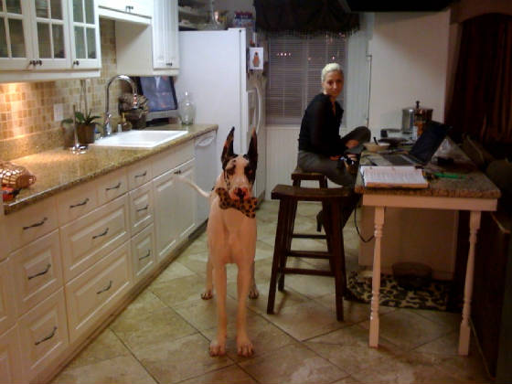 athena11monthsold.jpg