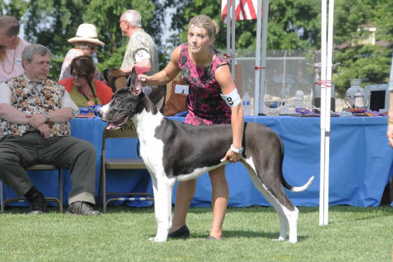 bitches_6-9norcalspecialty.jpg