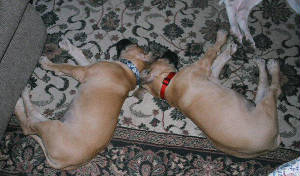 boys11weeks1edited.jpg