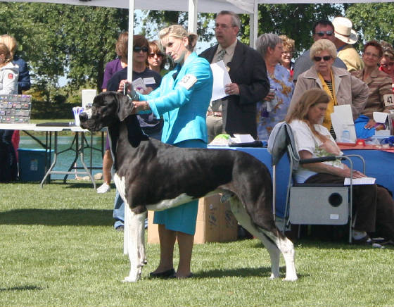 diesel15monthsgdcncspecialty.jpg