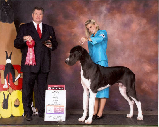 diesel2009national9-12puppydog.jpg