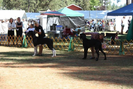 diesel7monthsrwdgrassvalley.jpg