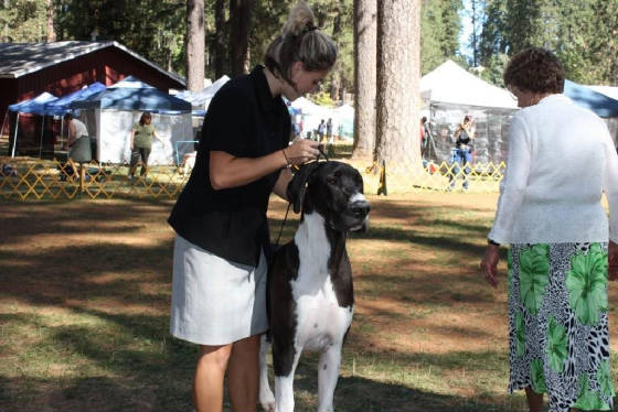 dieselmonthsrwdgrassvalley092.jpg