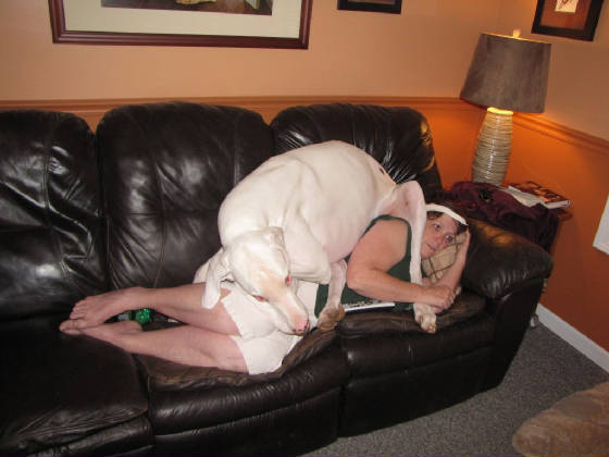 img_3555024x768.jpg