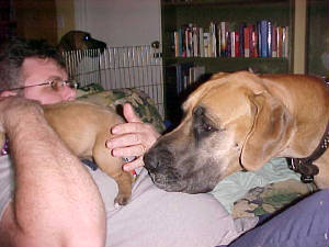 odiebaby2-8-04.jpg
