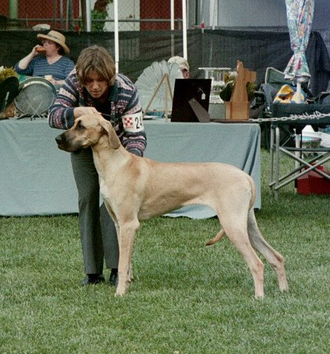 2abbiespecialty2003.jpg