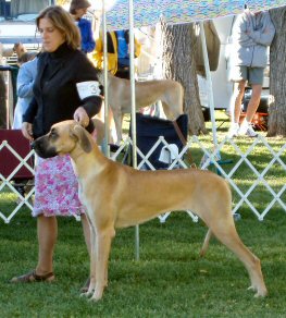 abbiebonanza2003.jpg