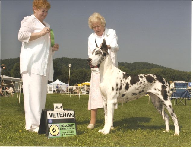 charlibestofbreedvet09.jpg