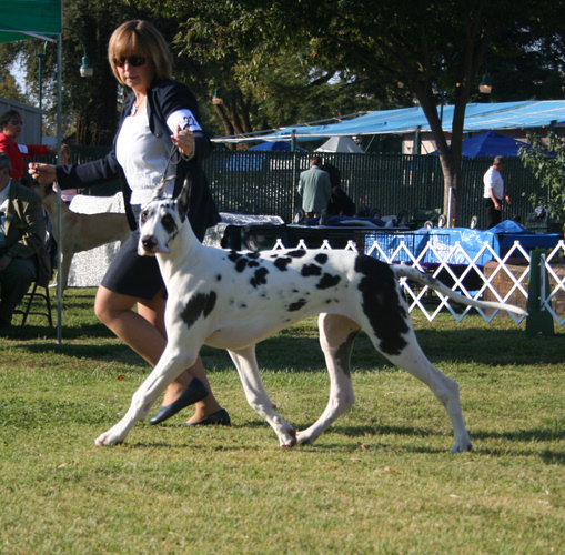 danniyubacity2007.jpg