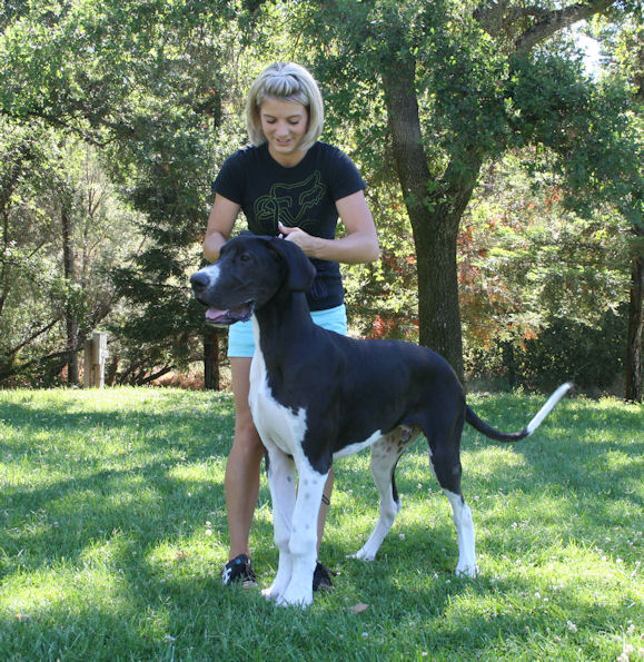 diesel6months13.jpg
