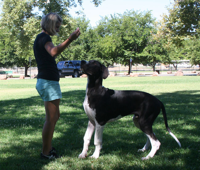 diesel6months8.jpg