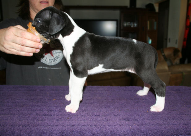 fern5weeks4.jpg