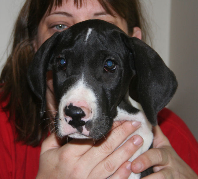 fern8weeks5.jpg