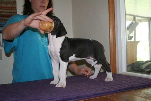 fernstacked6weeks5.jpg