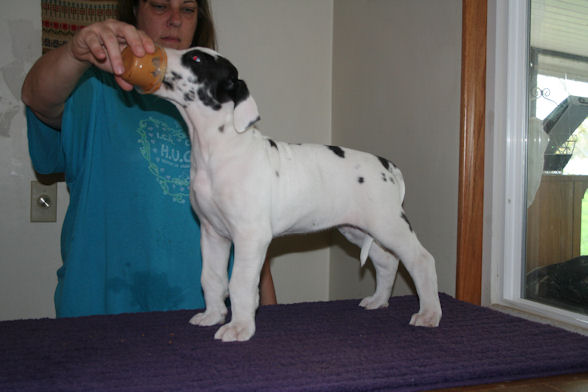 freyastacked6weeks5.jpg