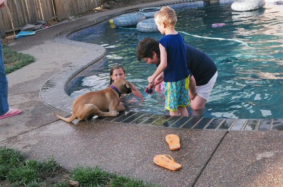 gingerpool12weeks4edited.jpg