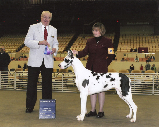goldengatewbandbestpuppy.jpg