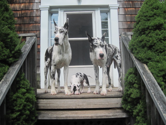 img0246.jpg