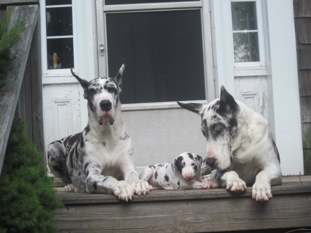 img0249.jpg