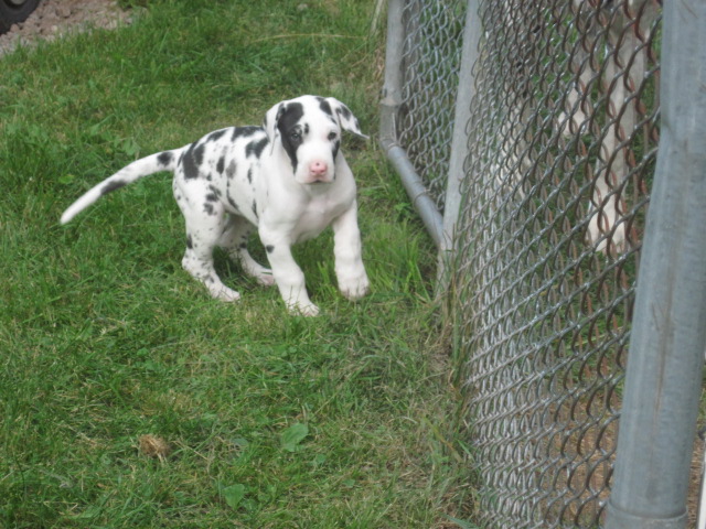 img0258.jpg
