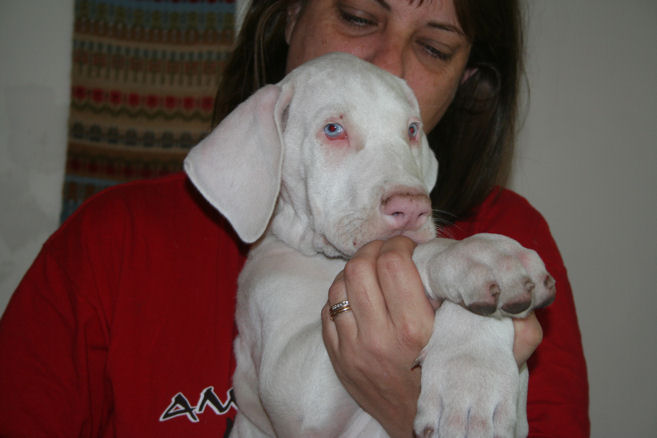 kruger8weeks4.jpg