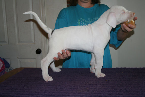 krugerstacked6weeks3.jpg
