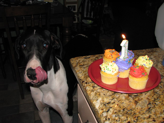 mila1stbirthday2.jpg