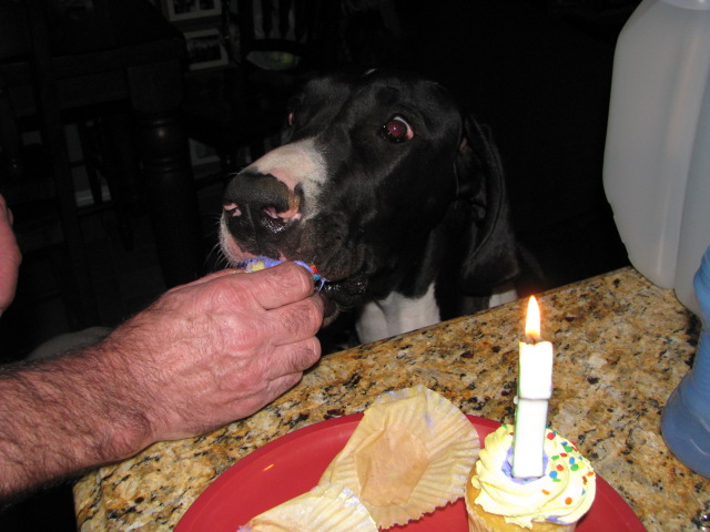 mila1stbirthday3.jpg