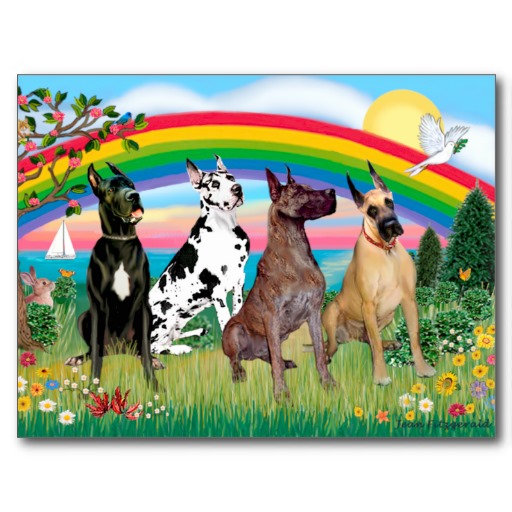 rainbowbridge.jpg