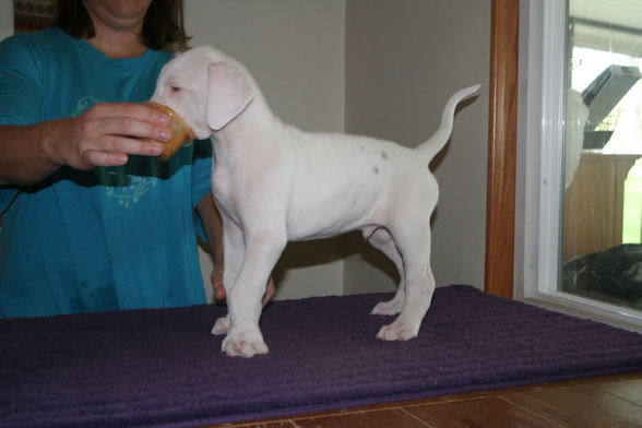 templeton6weeks2.jpg