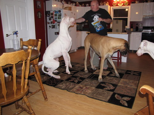 templeton9monthsold.jpg