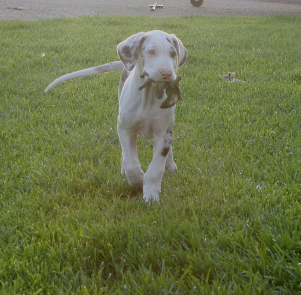wong11weeks.jpg