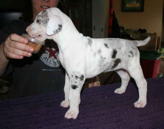 wong5weeks2.jpg