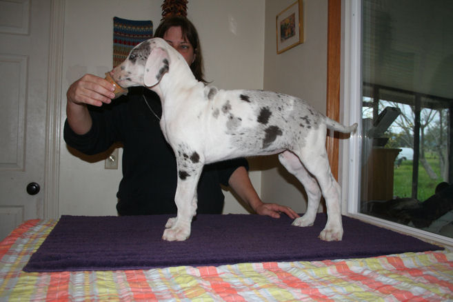 wong8weeks11.jpg